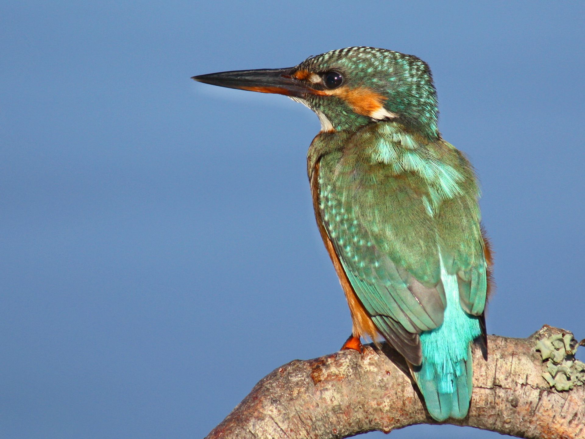 Concurso de Fotografia sobre o Parque Natural do Litoral Norte termina a 30 de junho