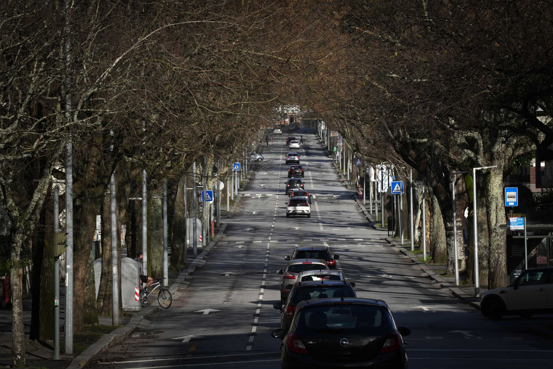 Repavimentação da Avenida 31 de Janeiro prossegue esta terça-feira