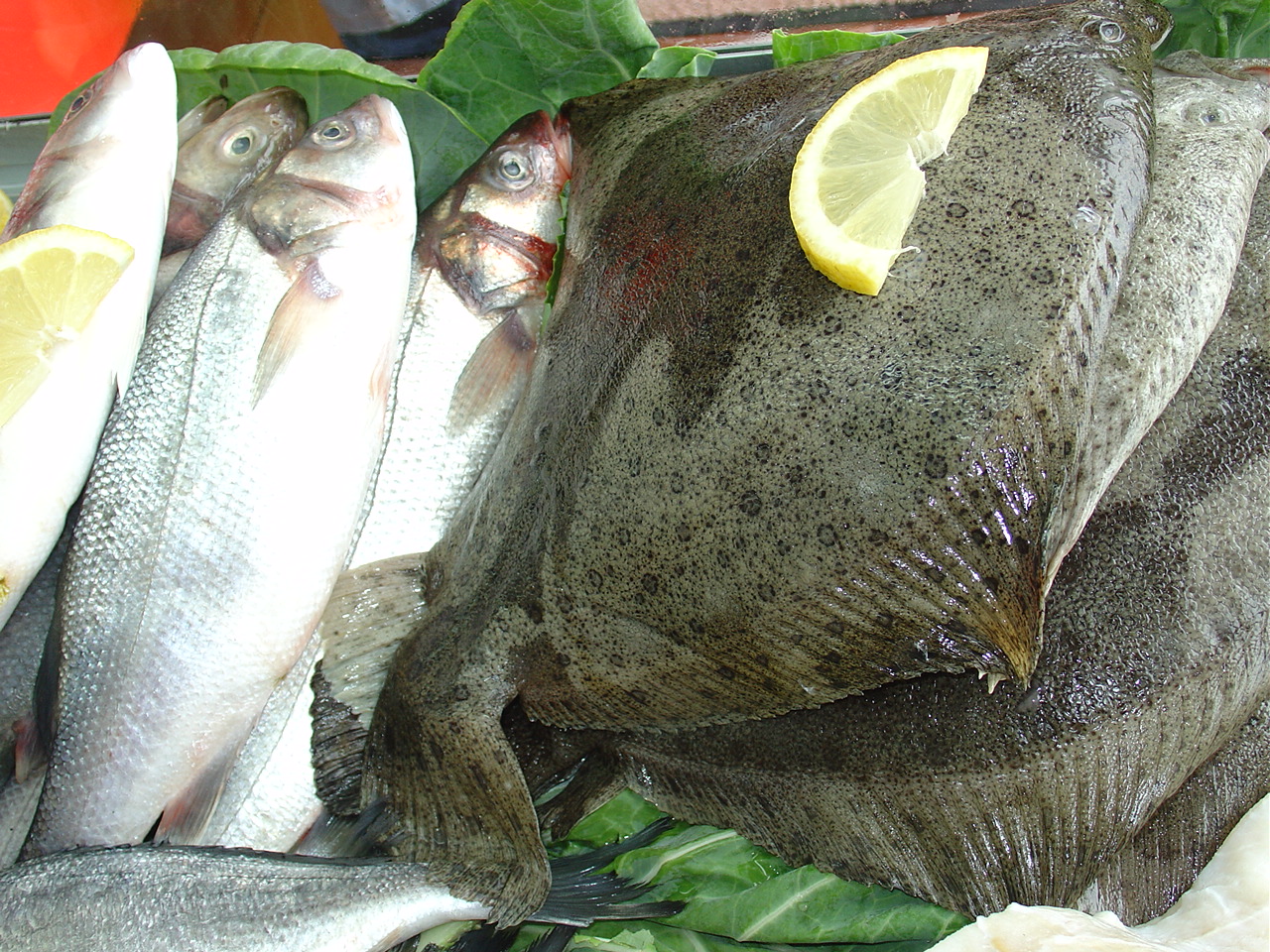 Município apoia projeto de valorização e promoção do pescado de Esposende
